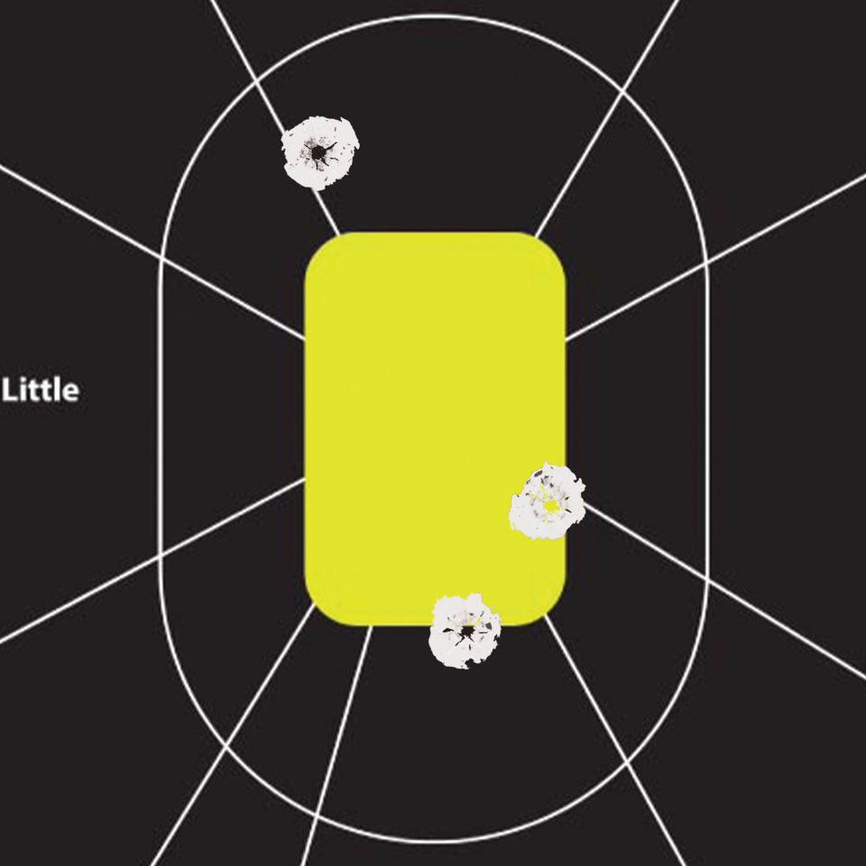 Allen 15220-30 EasyAim Splash Non-Adhesive Shooting Target 12x18 inches, Pack of 30