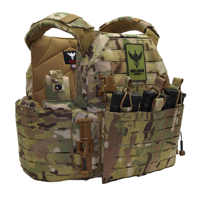 SHELLBACK TACTICAL SF 2.0 PLATE CARRIER