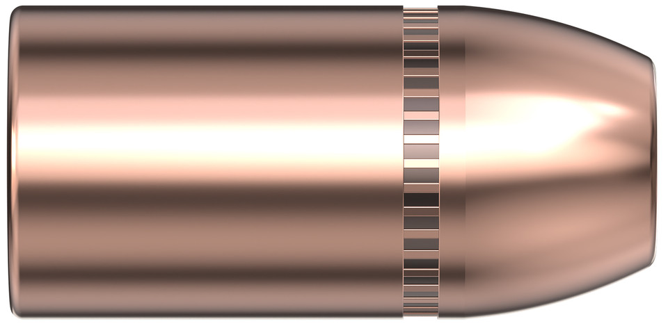Hornady 50109 DGH .500 Caliber 500 Grain Bullet