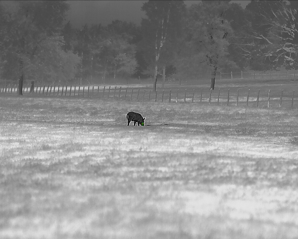 iRay RICO HD 1280 2X 75mm Thermal Weapon Sight