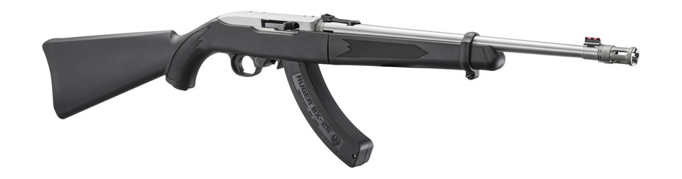 Ruger 10/22 Takedown .22 LR 18.5" Threaded Barrel 25-Round Stainless Rifle