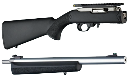 Ruger 10/22 Takedown .22 LR 18.5" Threaded Barrel 25-Round Stainless Rifle