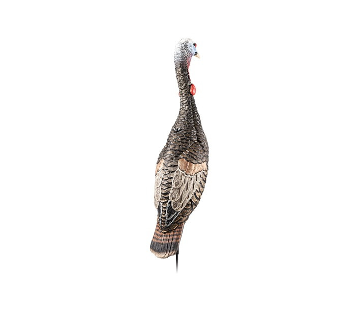 FLEXTONE FLX-FLXDY330 FUNKY CHICKEN GEN. 2