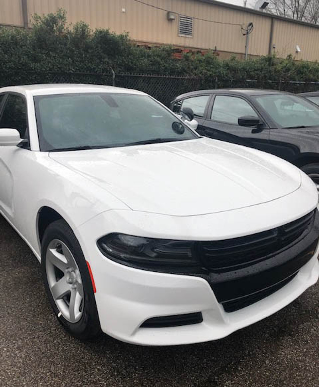 all white dodge charger