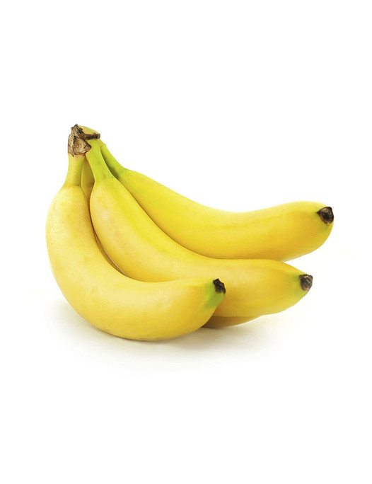 Integer fringilla magna eu lectus