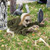 Halloween Groundbreaker Climbing Zombie with Light up Eyes and Creepy Sound B593-CM24795