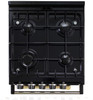24" Cast Iron Dual Fuel Range - Duck Egg Blue Includes Lp Conversion Kit