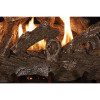 Grand Canyon Weathered Oak Single-Sided Ventless Gas Log Set