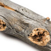 Grand Canyon Arizona Juniper Vented Gas Log Set