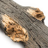 Grand Canyon Arizona Juniper Vented Gas Log Set