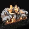 Grand Canyon Quaking Aspen Outdoor Gas Log Set