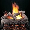 Rasmussen Manzanita See-Through Vented Gas Log Set