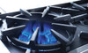 BlueStar - BSP366BCFPLT/BSP366BLCFPLT - 36" Platinum Range - (6) Burners Specialty Paint Finish (Specify RAL # - Matte / Texture Finish or Precious Metals Color)