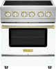 BlueStar - BSIR30CFPLT - 30" Induction Range with 4 Burners Specialty Paint Finish (Specify RAL # - Matte / Texture Finish or Precious Metals Color)