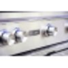 36” PROFESSIONAL GRILL FREESTANDING WITH ALL TRIDENT INFRARED BURNERS AND ROTISSERIE (L36ATRF)