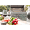42” PROFESSIONAL FREESTANDING GRILL WITH ALL TRIDENT INFRARED BURNERS AND ROTISSERIE (L42ATRF)