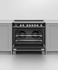 Fisher and Paykel Series 9 36 Inch Wide 4.9 Cu. Ft. Free Standing Induction Range with SmartZone Capability