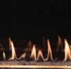 Empire Fireplace Empire Boulevard 48" Direct Vent Linear Gas Fireplace | DVLL48BP92 