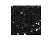Empire Fireplace Empire Forest Hills 27 Portrait Style Contemporary Direct Vent Gas Fireplace DVLL27 