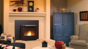 Regency Fireplaces GFI55 Pellet Insert 