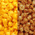 Pumpkin Spice and CheeseCorn Family Tin