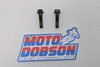 Ducati Monster 12000 Scrambler 1100 77253330ZF Screw Pair