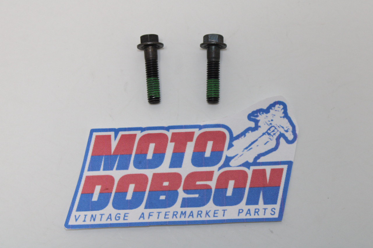 Ducati Monster 12000 Scrambler 1100 77253330ZF Screw Pair