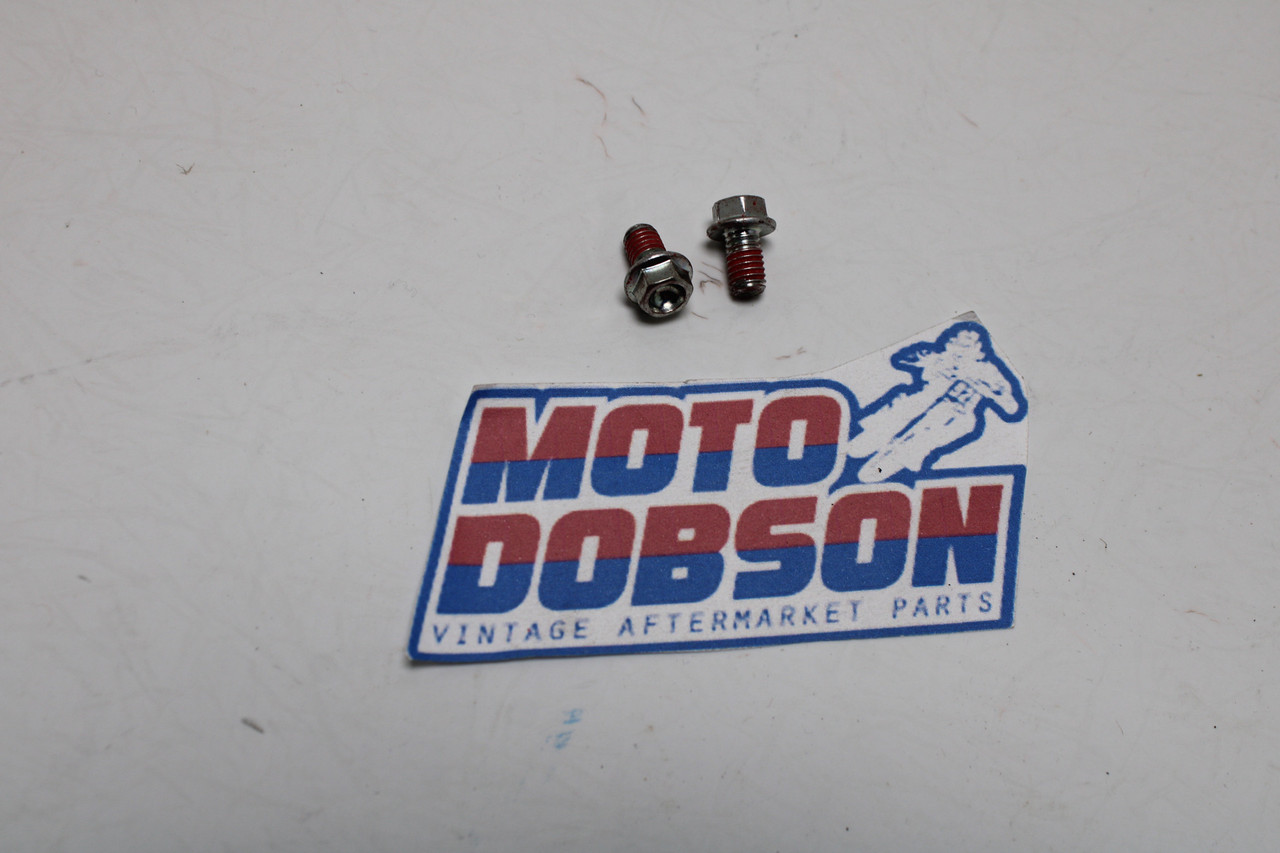 Ducati MultiStrada Monster Streetfighter 77210591A 6X10 Screw Sold Quantity of 2