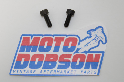 Ducati Monster 400 600 750 900 77150400C Screw Sold as Pair