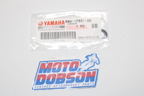Yamaha Road Star XV1600AN XV17PCP  4WM-17931-00-00 Gsket