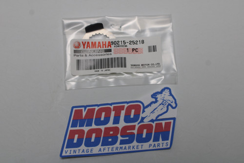 Yamaha FJR1100 FJR1200 FJR1300 92015-25218 Lock Washer
