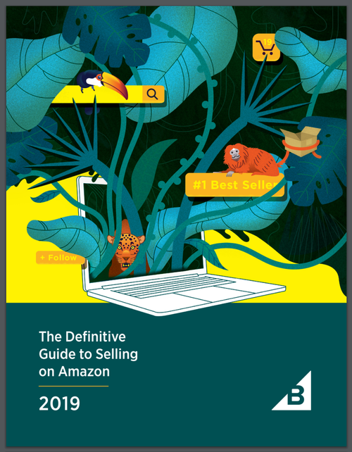 The Ultimate Guide to Selling on Amazon (ebook)