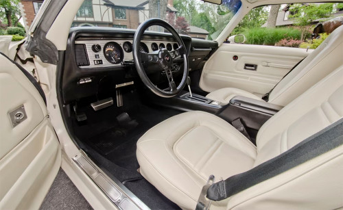 1978 Special Edition Y88 Pontiac Trans Am - Golden Bird - Parts