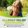 HealthA2Z® Allergy Relief | Chlorpheniramine Maleate 4mg | 24 Packs of 24 Caplets (576 Total) | Value Pack | Antihistamine for Sneezing, Runny Nose & Itchy Eyes