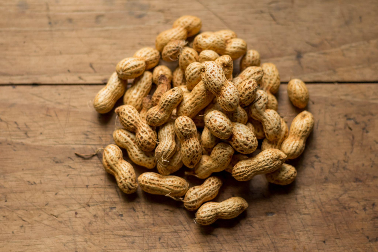 Peanut Allergies: All That You Need to Know