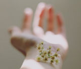 Allergy Triggers That Could Be Lurking In Your Home