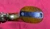 Replica Arms COLT 1860 ARMY Cap Ball Percussion 44 CAL 8 In Case Mold Set