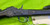 Custom Remington Rolling Block No 1 22 Hornet Engraved Varmint Single Shot