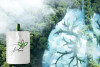 Pure CO2 Blast bottle refill
