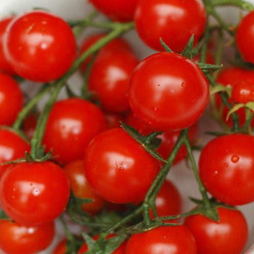 Seeds - Cherry Tomatoes