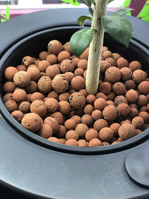 LECA Plant Medium Hydroponics Expanded Clay Balls