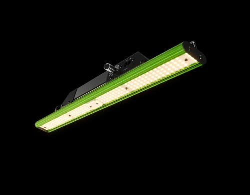 Digi-Lume Extreme 60W, 60cms