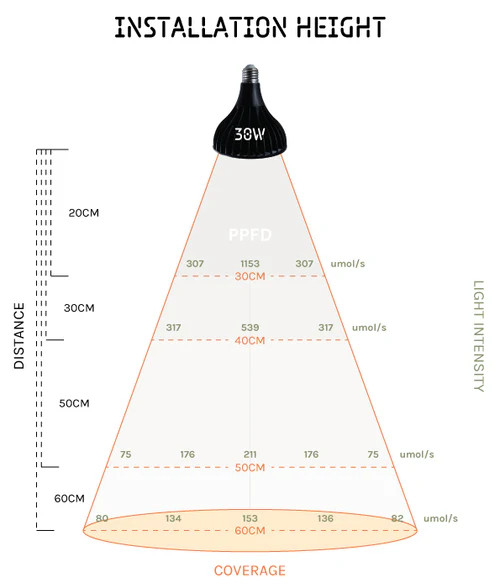 Treegers 30W Grow Bulb