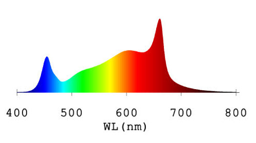 ULight Intercanopy 100W LED