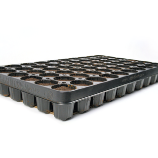 Jiffy Preforma 60 cell tray