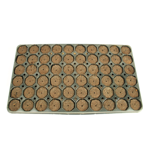 Jiffy Preforma 60 cell tray