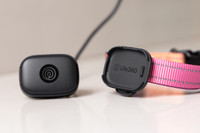 Image of two pieces of the Pet GPS Black on Pink collar