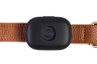 Image of Life360 Pet GPS - Black on a brown collar