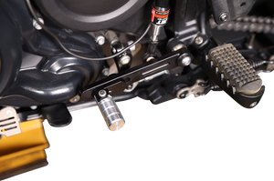 Dynojet - Shift Lever - Shift Lever - 61300100