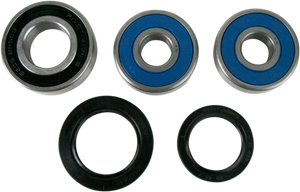 Pivot Works - Wheel Bearing Kit - Rear - Wheel Bearing and Seal Kit - PWRWS-K09-000